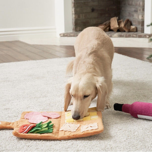 Why Dog Snuffle Mats Make The Best Enrichment Toy