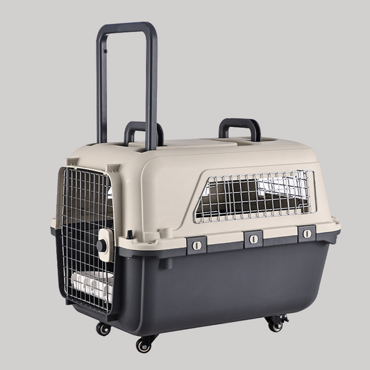 The  Importance of IATA-Compliant Pet Carriers: Lessons from Tragic Incidents