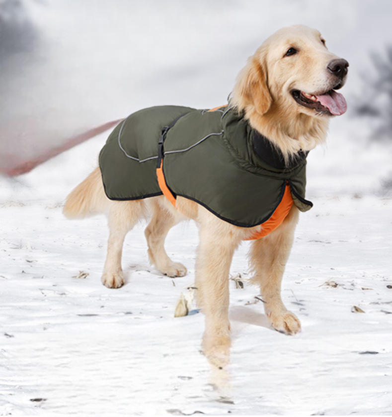 Why Pets Need Clothing in Extreme Cold Weather