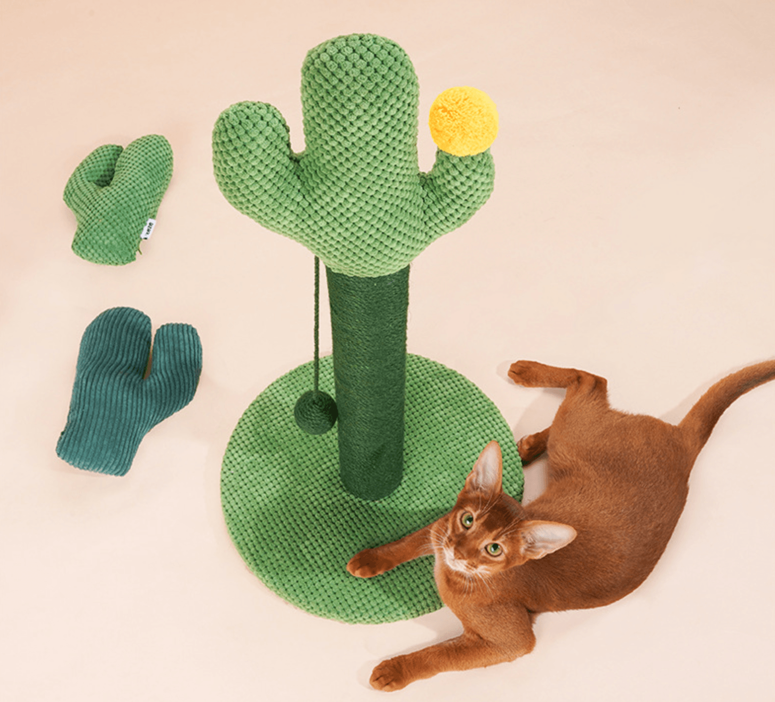 Scratching Post menu image