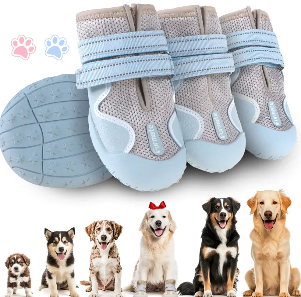 Dog Shoes menu image