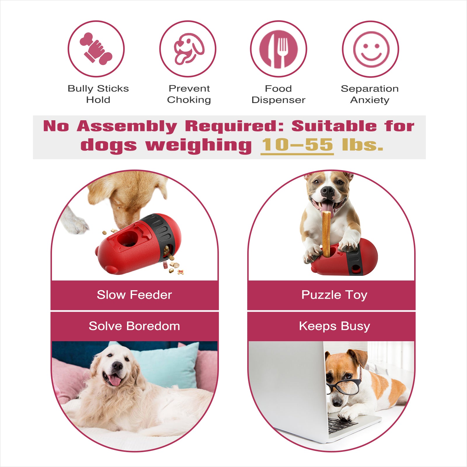 2 in 1 Food Dispenser &  Bully Stick Holder for Dogs