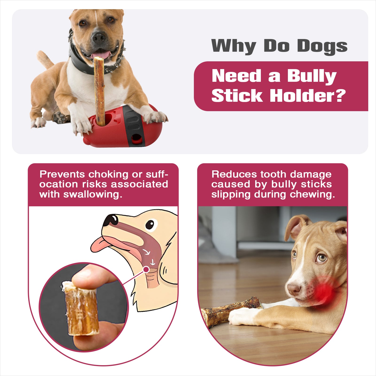 2 in 1 Food Dispenser &  Bully Stick Holder for Dogs