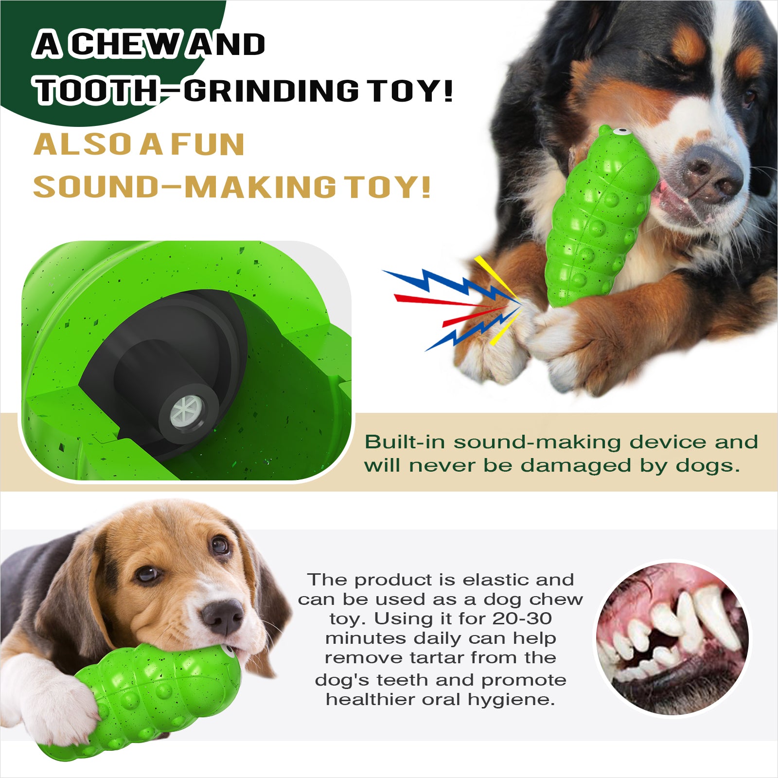 Squeaky Bug Dog Chew Toy