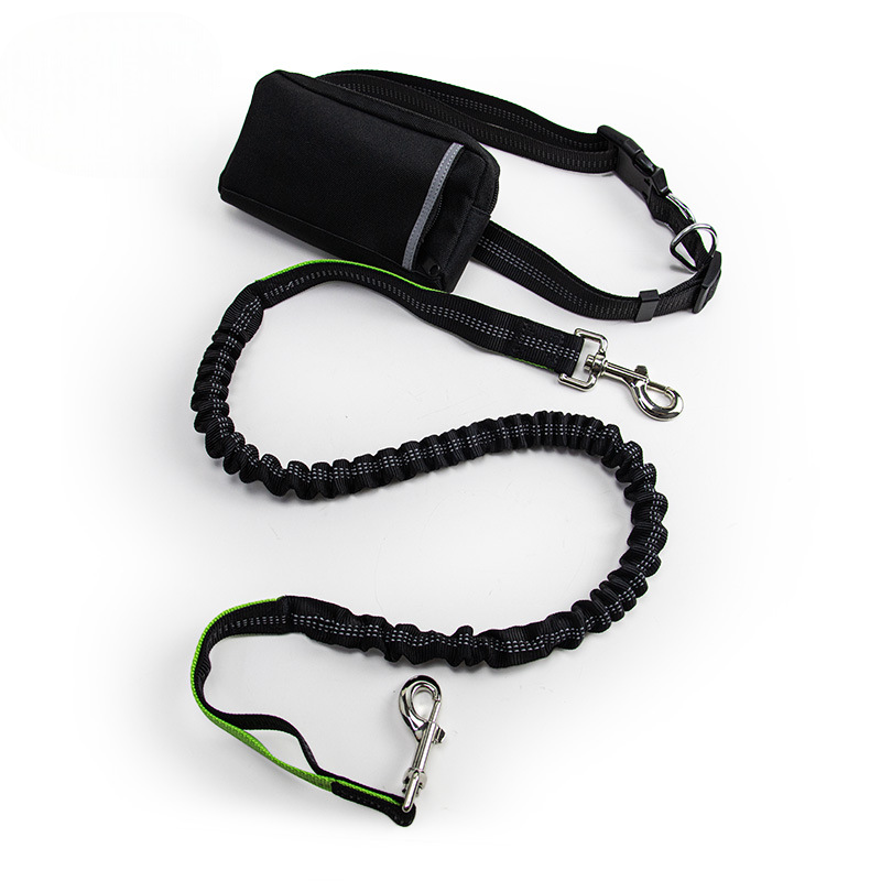 Dual-Function Waist Belt and Leash Set R- SP05KU197 - ri-son