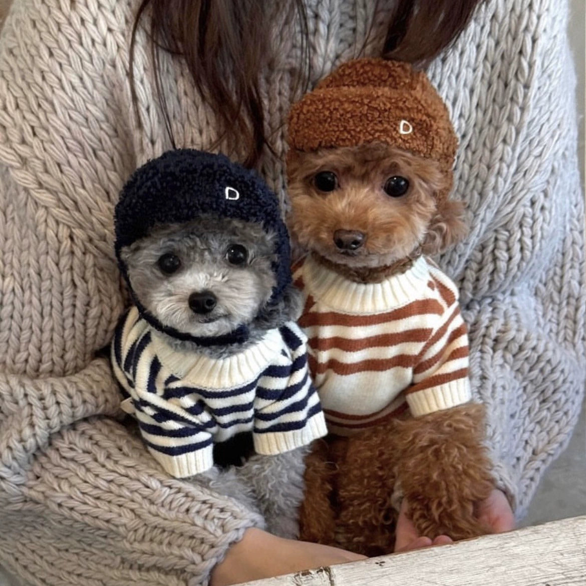 Stripe Small Dog Sweater with Bear Pattern - ri-son