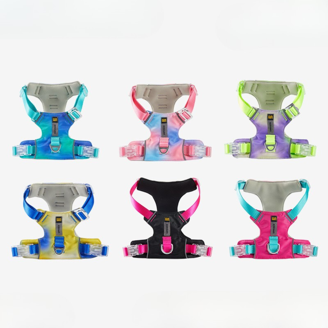 Designer City Color Dog Harness - ri-son