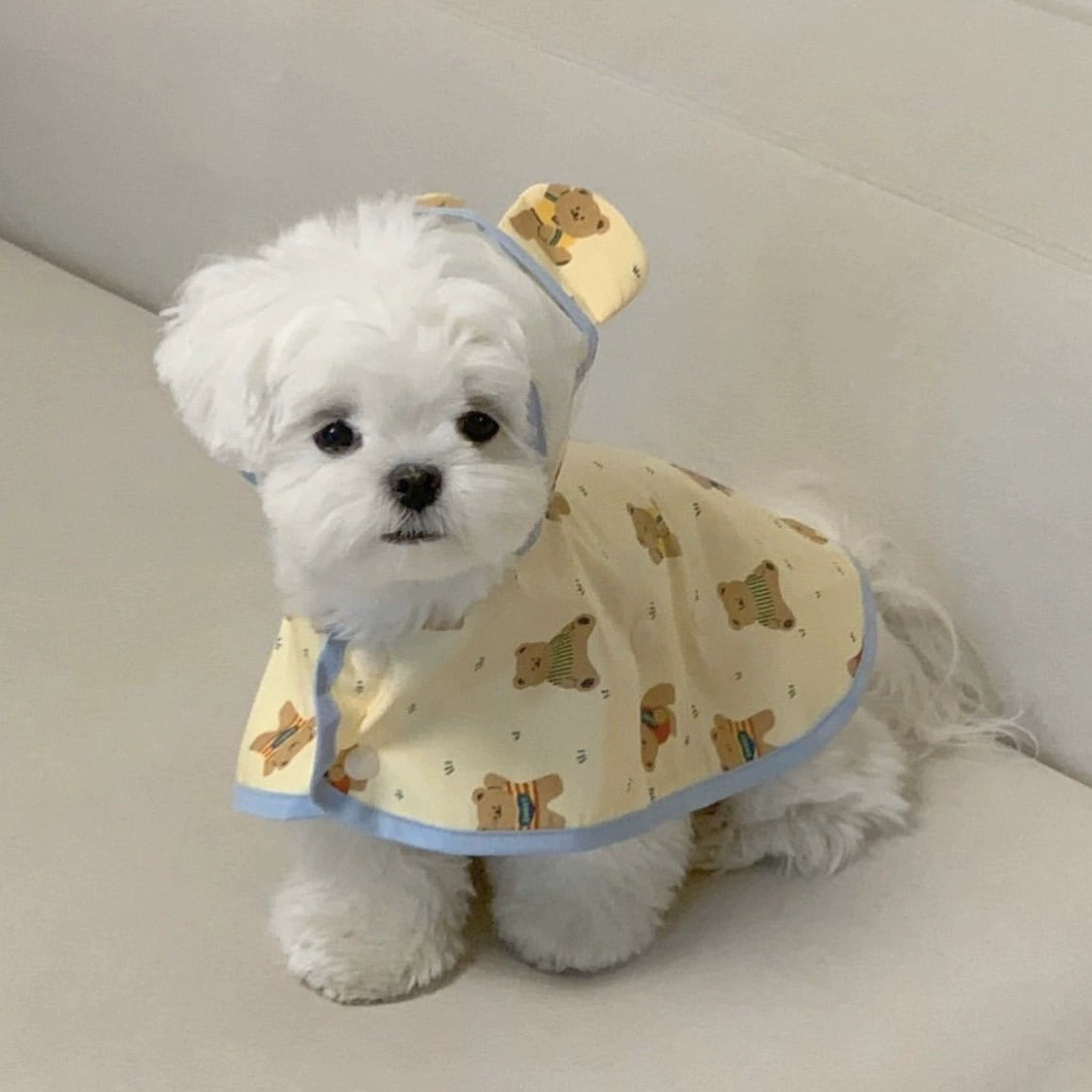 Small Dog Rain Coats with Teddy Bear - ri-son