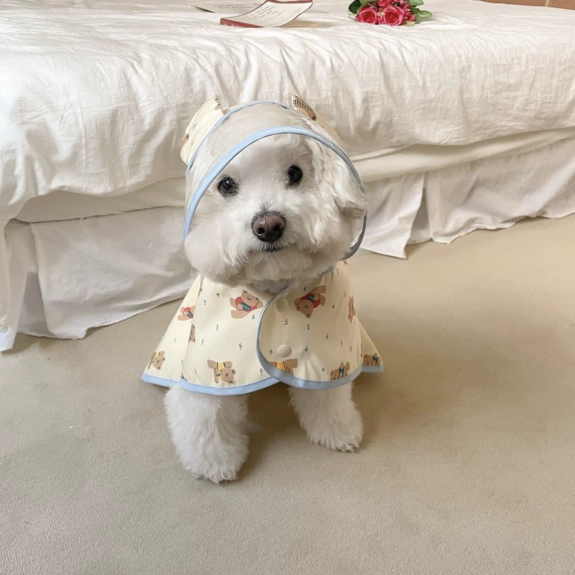 Small Dog Rain Coats with Teddy Bear - ri-son