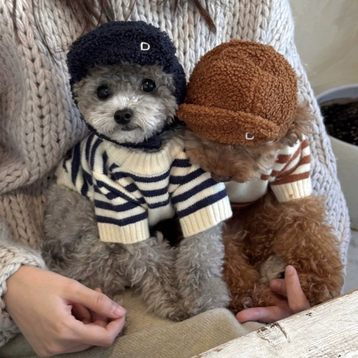 Stripe Small Dog Sweater with Bear Pattern - ri-son