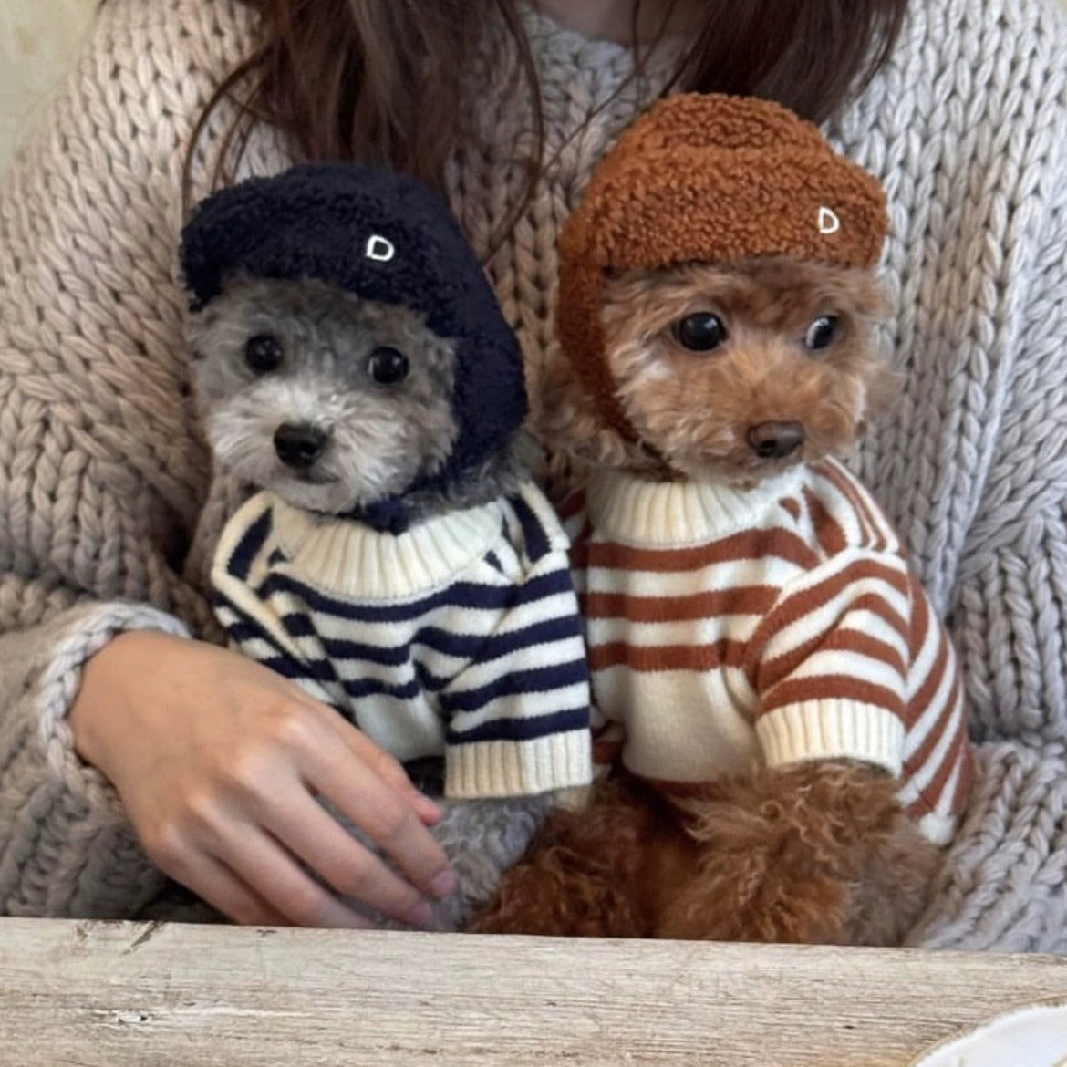 Stripe Small Dog Sweater with Bear Pattern - ri-son