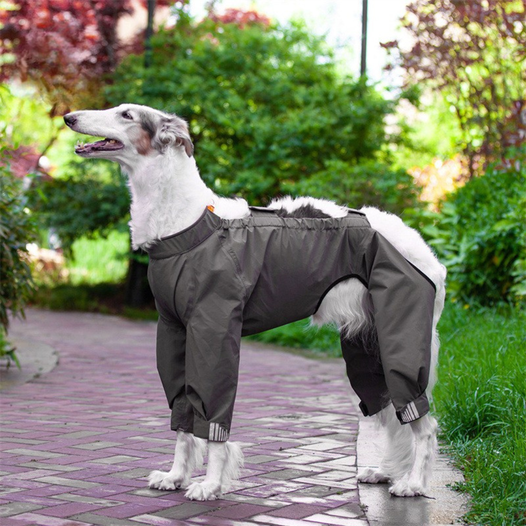 Ultimate Dog Rain Coat with Reflective Feature - ri-son