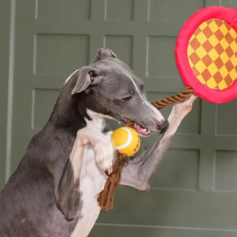 Tennis Racket Rope Dog Toy