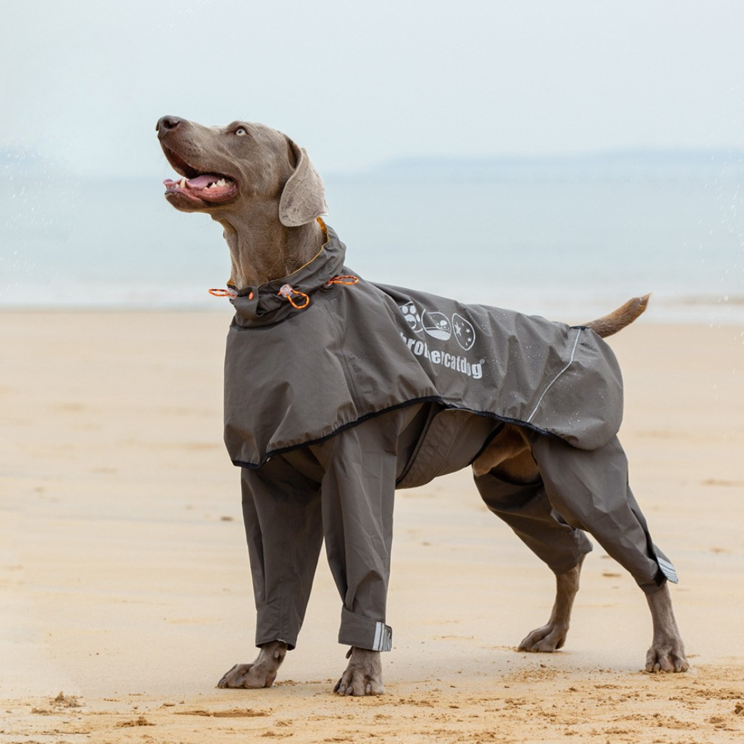 Ultimate Dog Rain Coat with Reflective Feature - ri-son