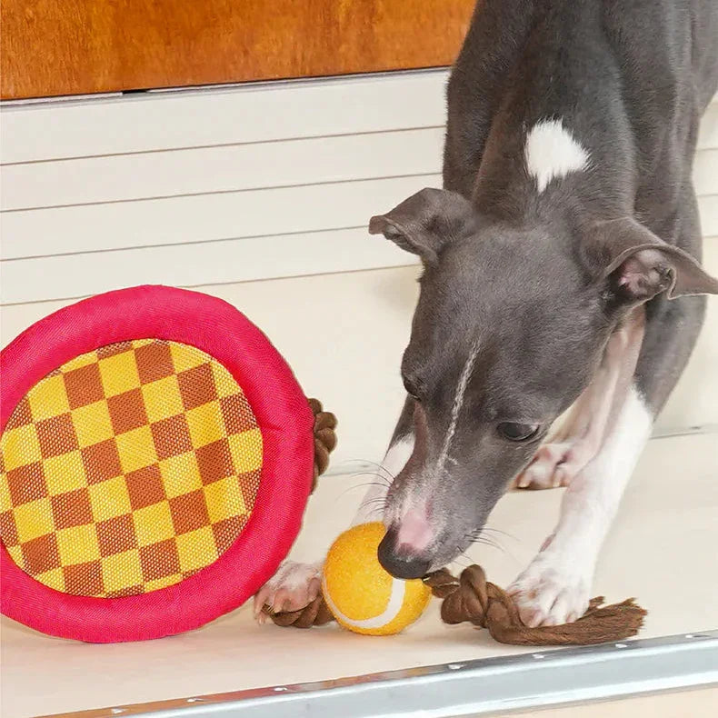 Tennis Racket Rope Dog Toy