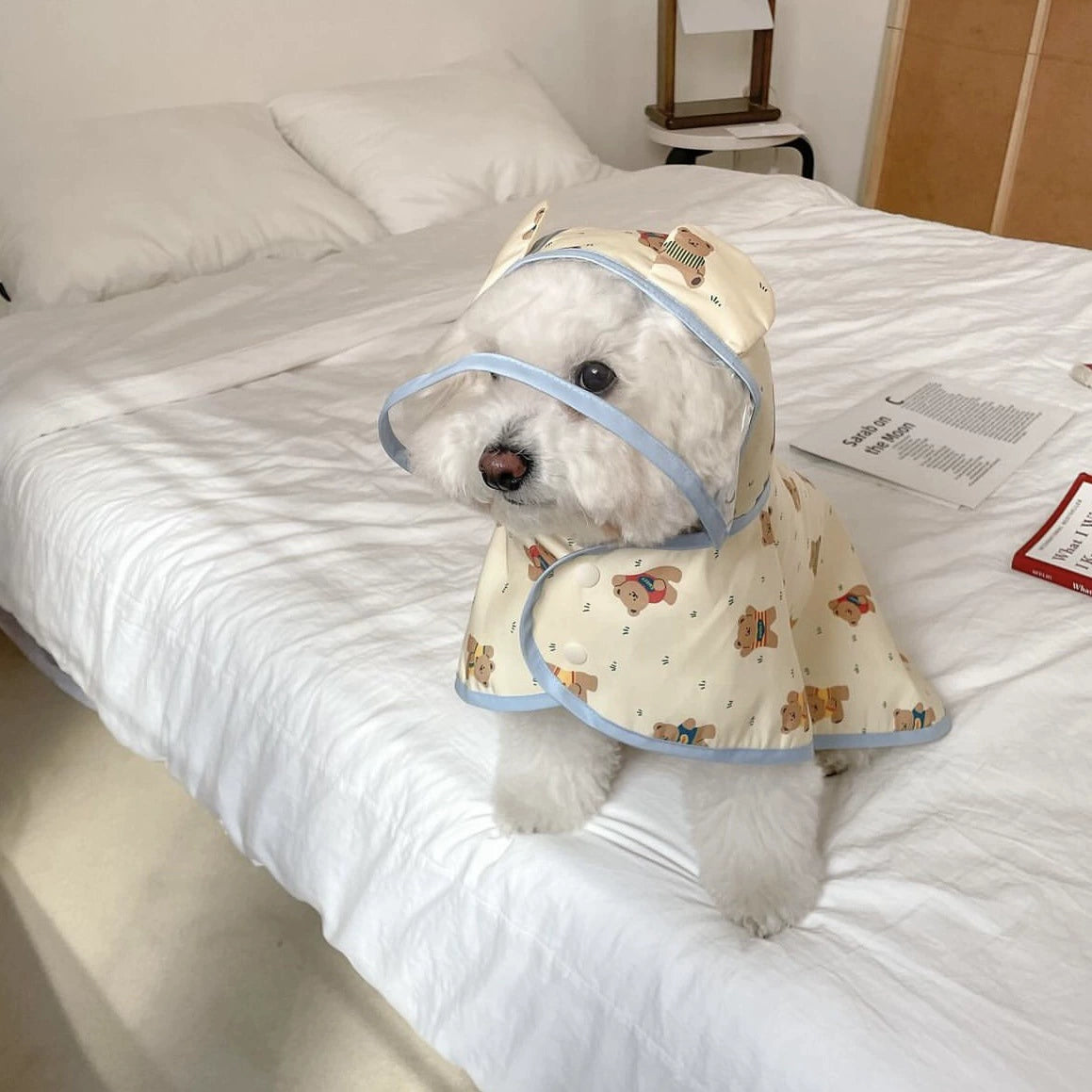 Small Dog Rain Coats with Teddy Bear - ri-son