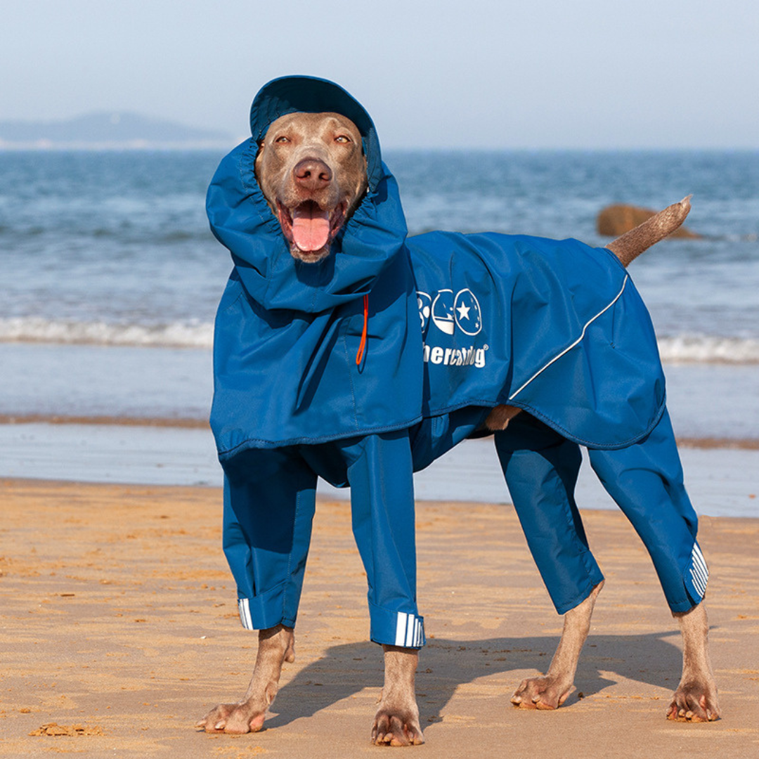 Ultimate Dog Rain Coat with Reflective Feature - ri-son