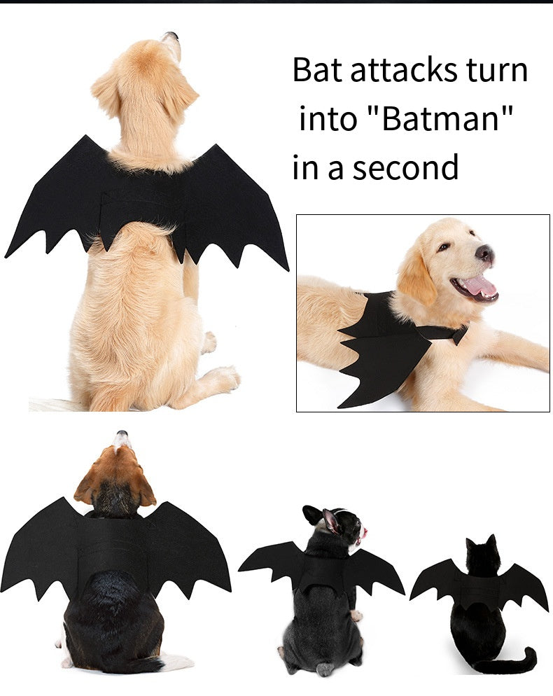 Halloween Spooky Bat Wings Pet Costume  DD01283 - ri-son