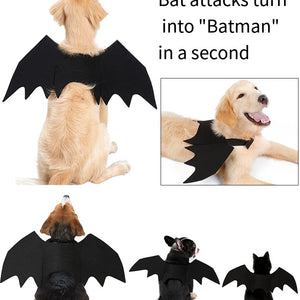 Halloween Spooky Bat Wings Pet Costume  DD01283 - ri-son