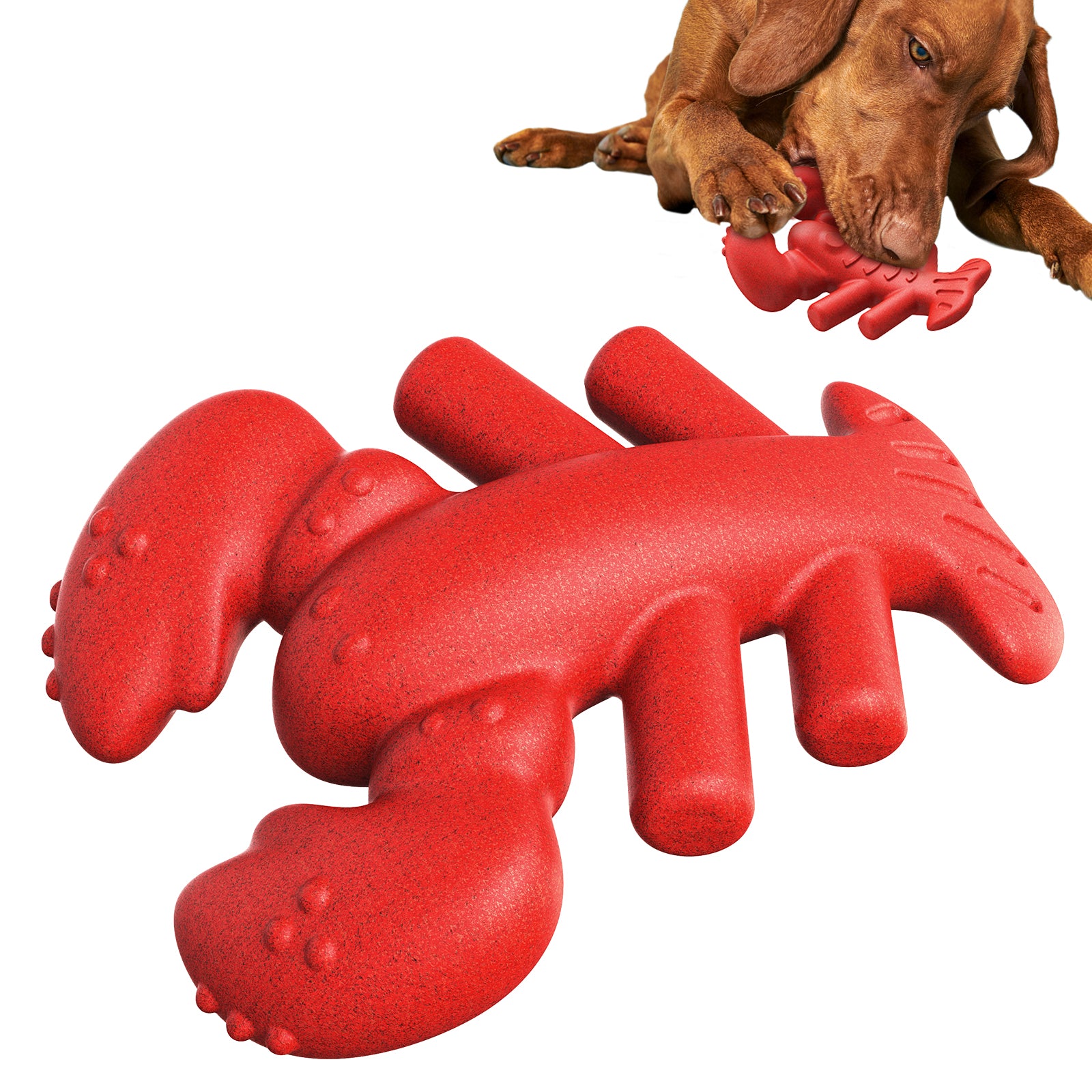 Boston Lobster Dog Chew Toy for Heavy Chewers