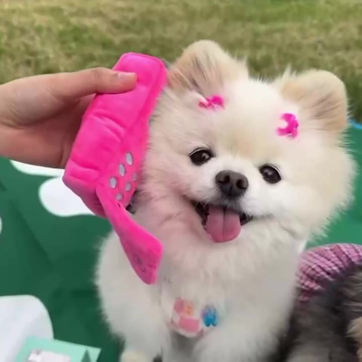 Barbie - Pink Phone Shaped Dog Treat Toy - ri-son