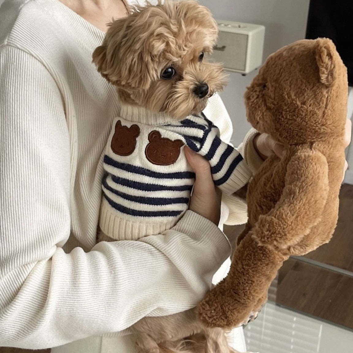 Stripe Small Dog Sweater with Bear Pattern - ri-son