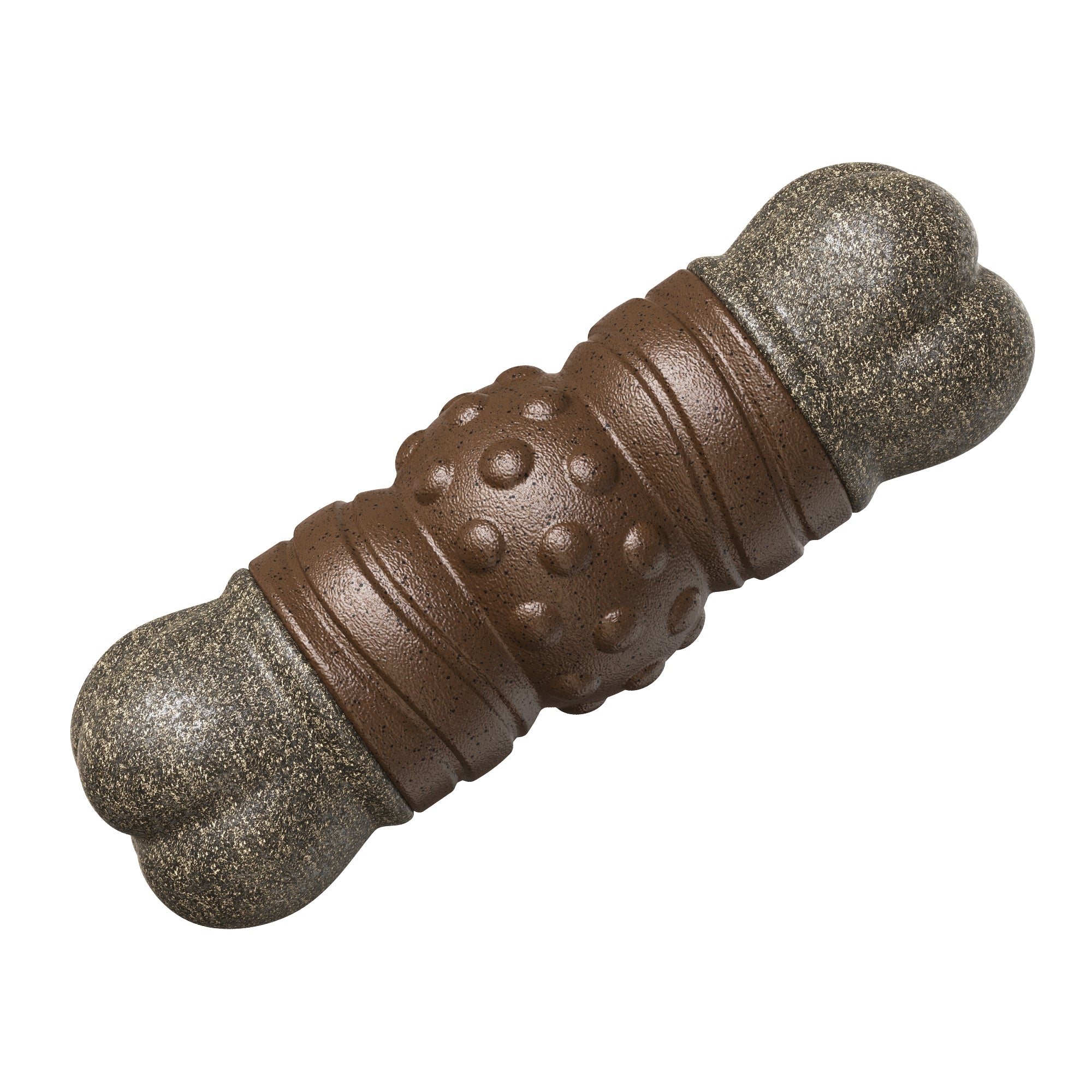 Bone Squeaky Dog Chew Toy