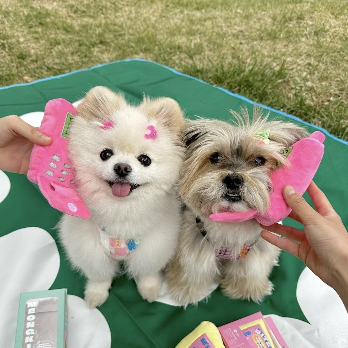 Barbie - Pink Phone Shaped Dog Treat Toy - ri-son