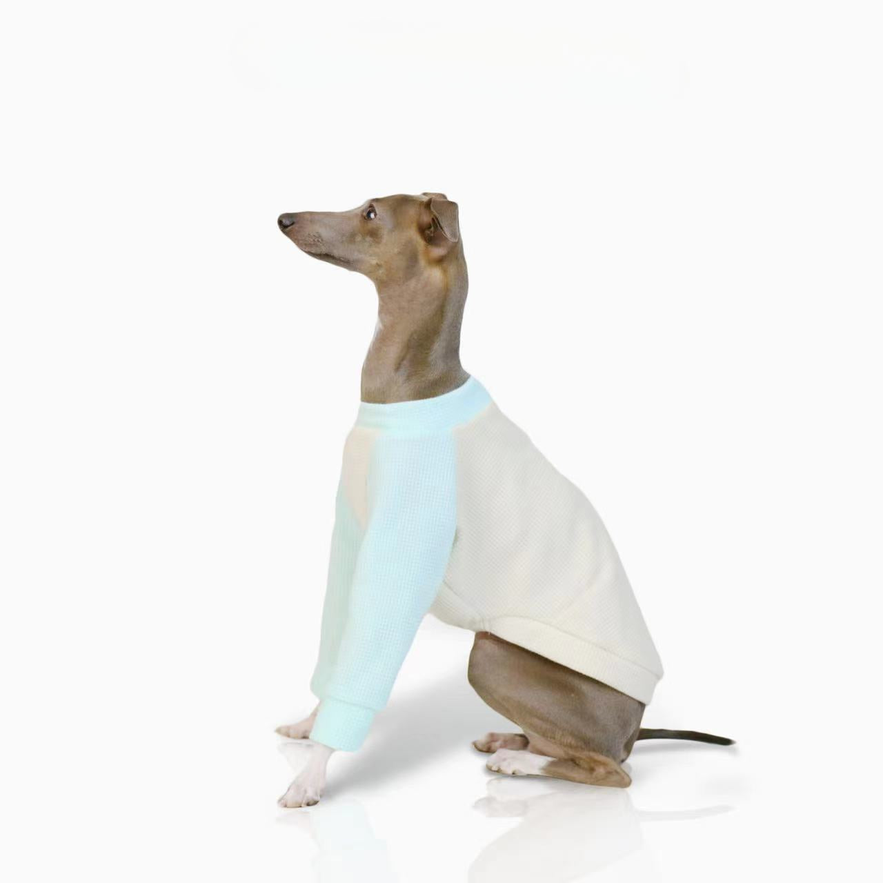 Italian greyhound thin two-legged waffle breathable soft puppy Shirts