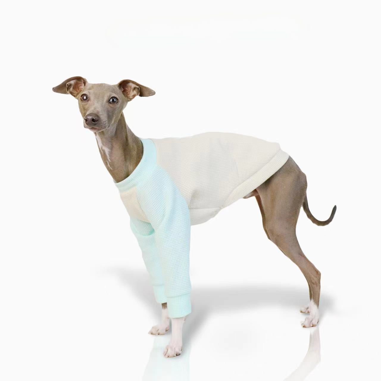 Italian greyhound thin two-legged waffle breathable soft puppy Shirts