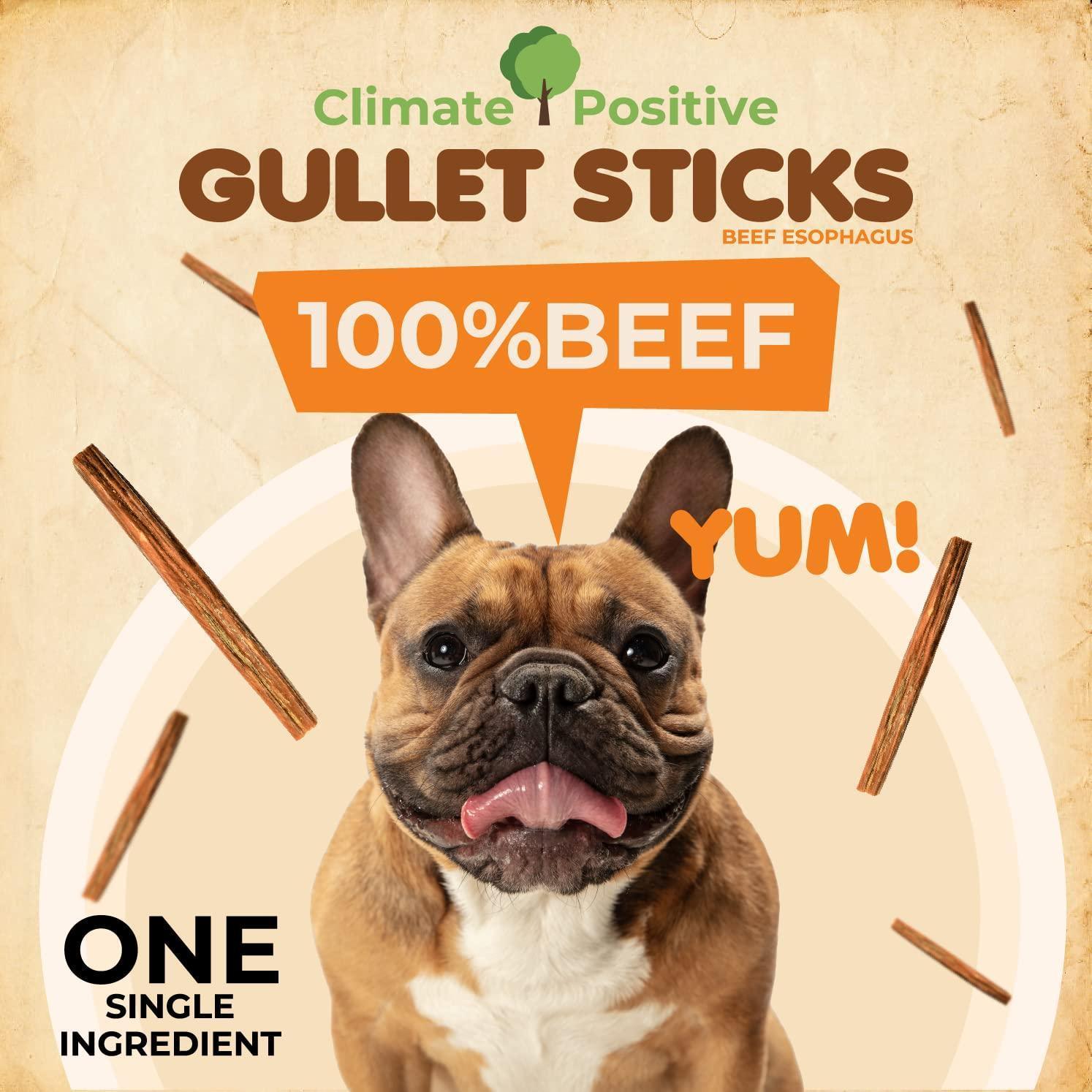 Gullet Sticks 100% Natural Beef Esophagus Dog Chews 6” Premium Dog Treats for