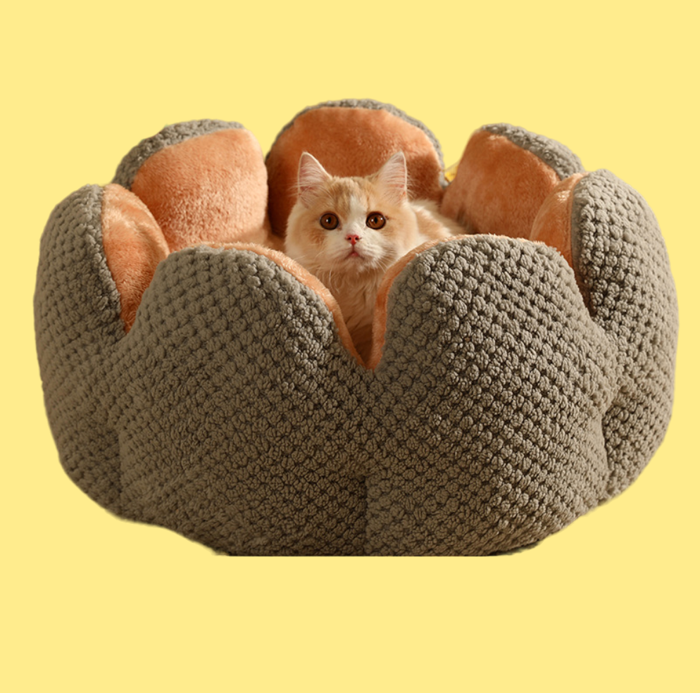 Pet Flower Shape Cushion/Pet Flower Shape Bed R-B02 - ri-son