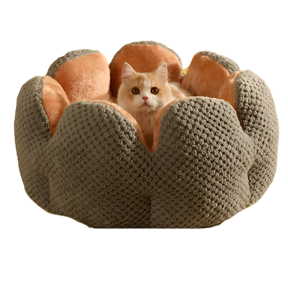 Pet Flower Shape Cushion/Pet Flower Shape Bed R-B02 - ri-son