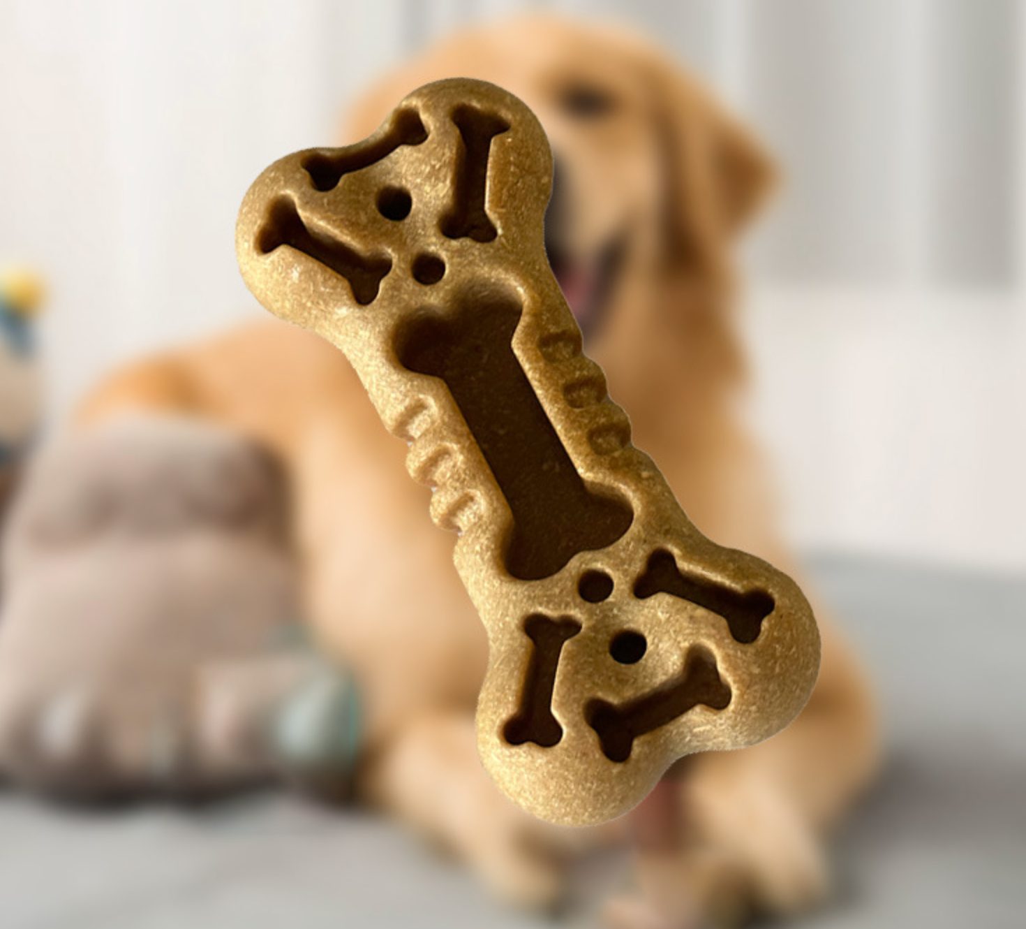 Dog Bone Shape Chewing Toys R-GT01-MF - ri-son