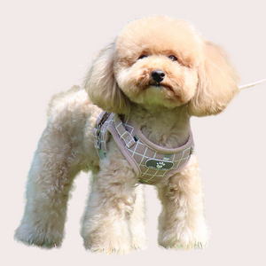 Pet Plaid Harness R-H01 - ri-son