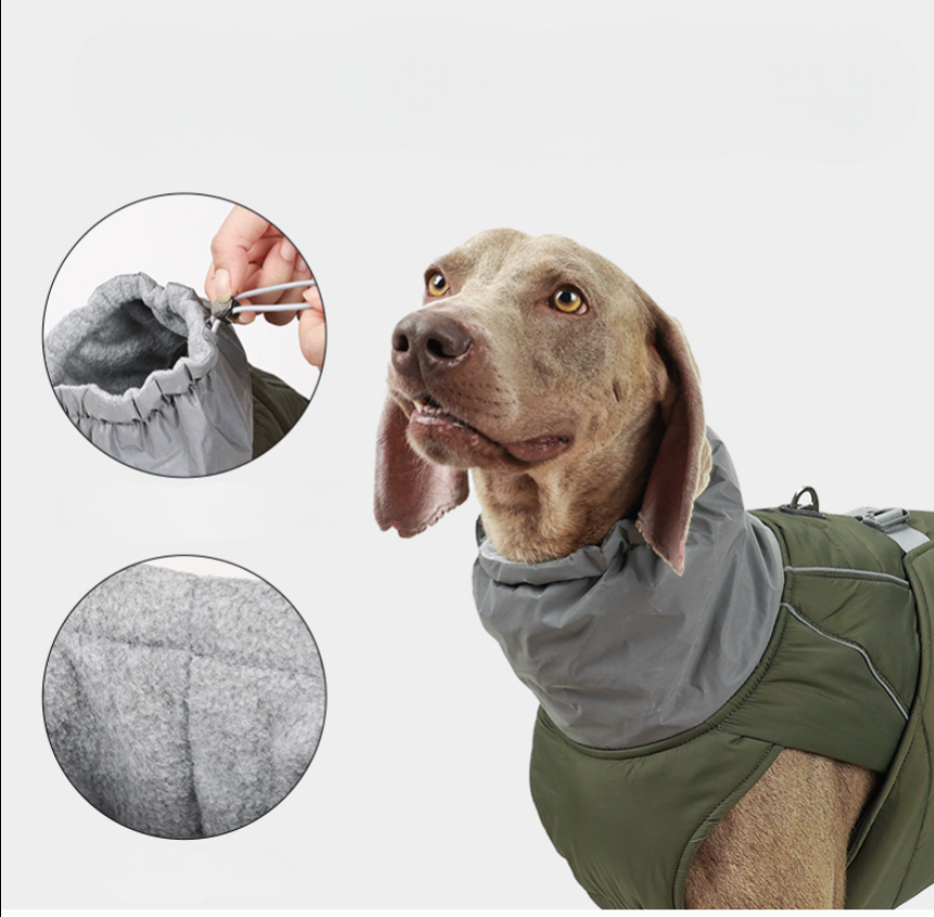 DogWander Weatherproof Jacket R- PD10063 - ri-son