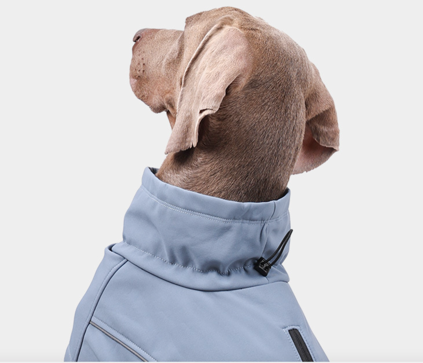 Waterproof Outdoor Soft Jacket for Dogs R- PD10062 - ri-son