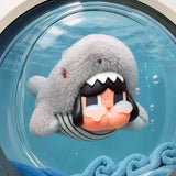 THE SHARK OPENED Box