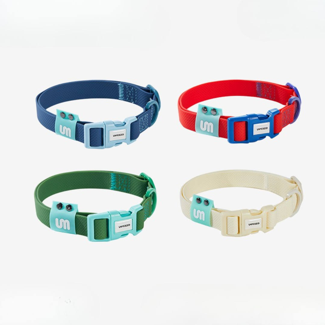 Candy Contrast Rubber Dog Collar - ri-son