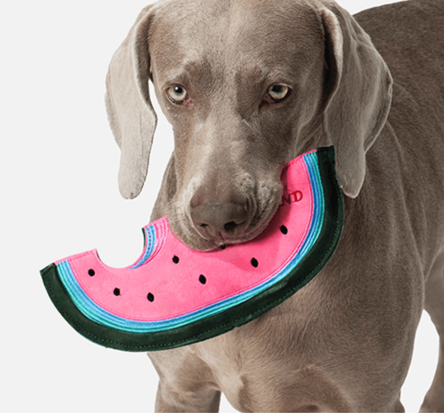 Pink Gloves Dog Squeaky Frisbee Toy
