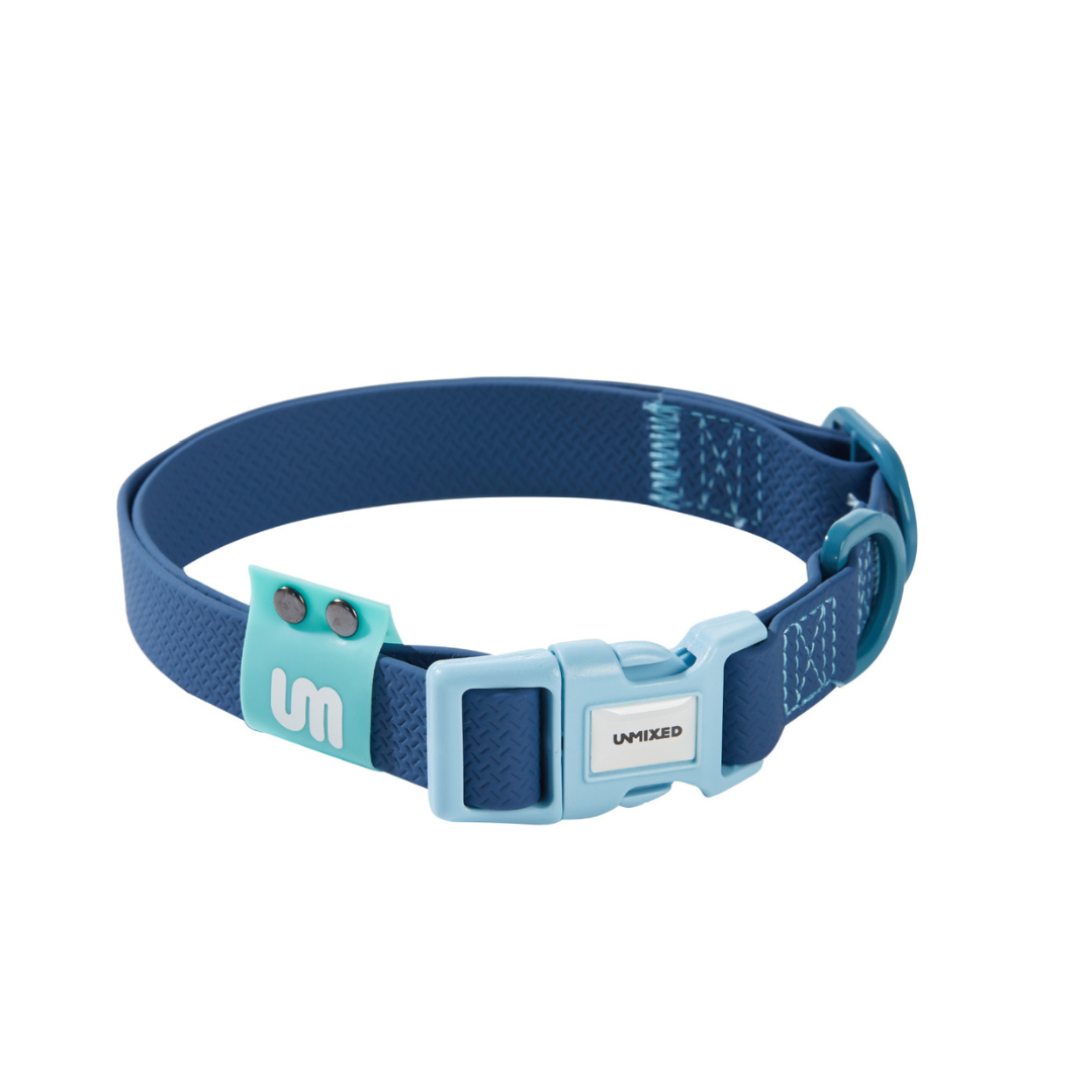 Candy Contrast Rubber Dog Collar - ri-son