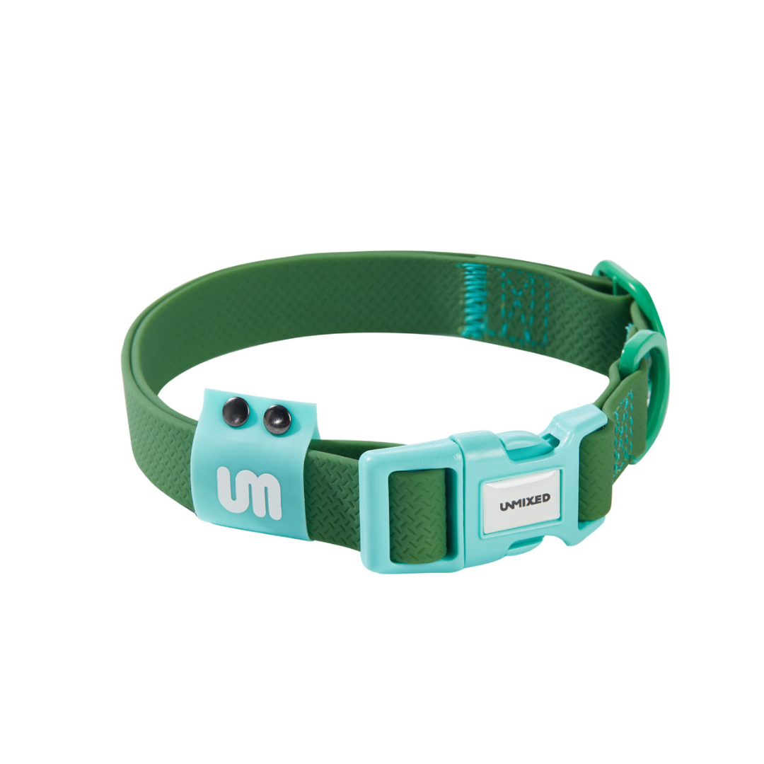 Candy Contrast Rubber Dog Collar - ri-son