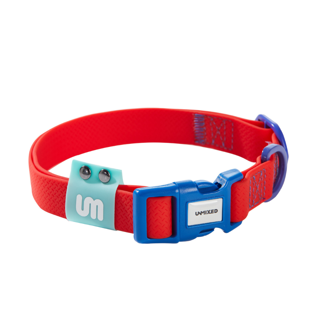 Candy Contrast Rubber Dog Collar - ri-son