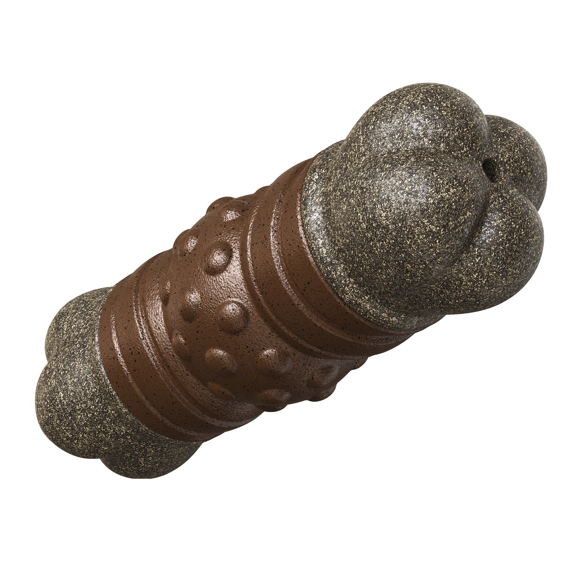 Bone Squeaky Dog Chew Toy