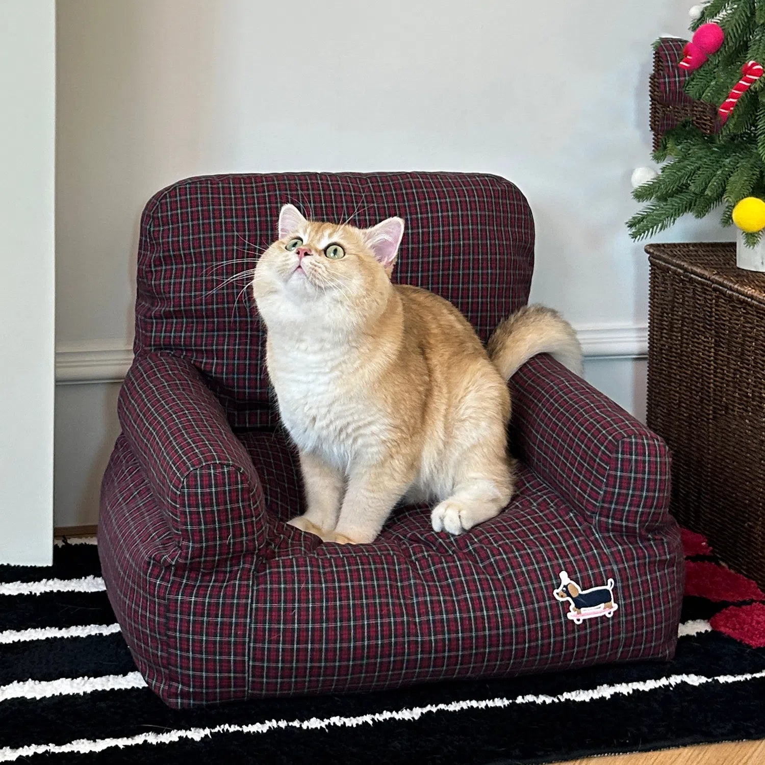 British Fabric Cat Sofa