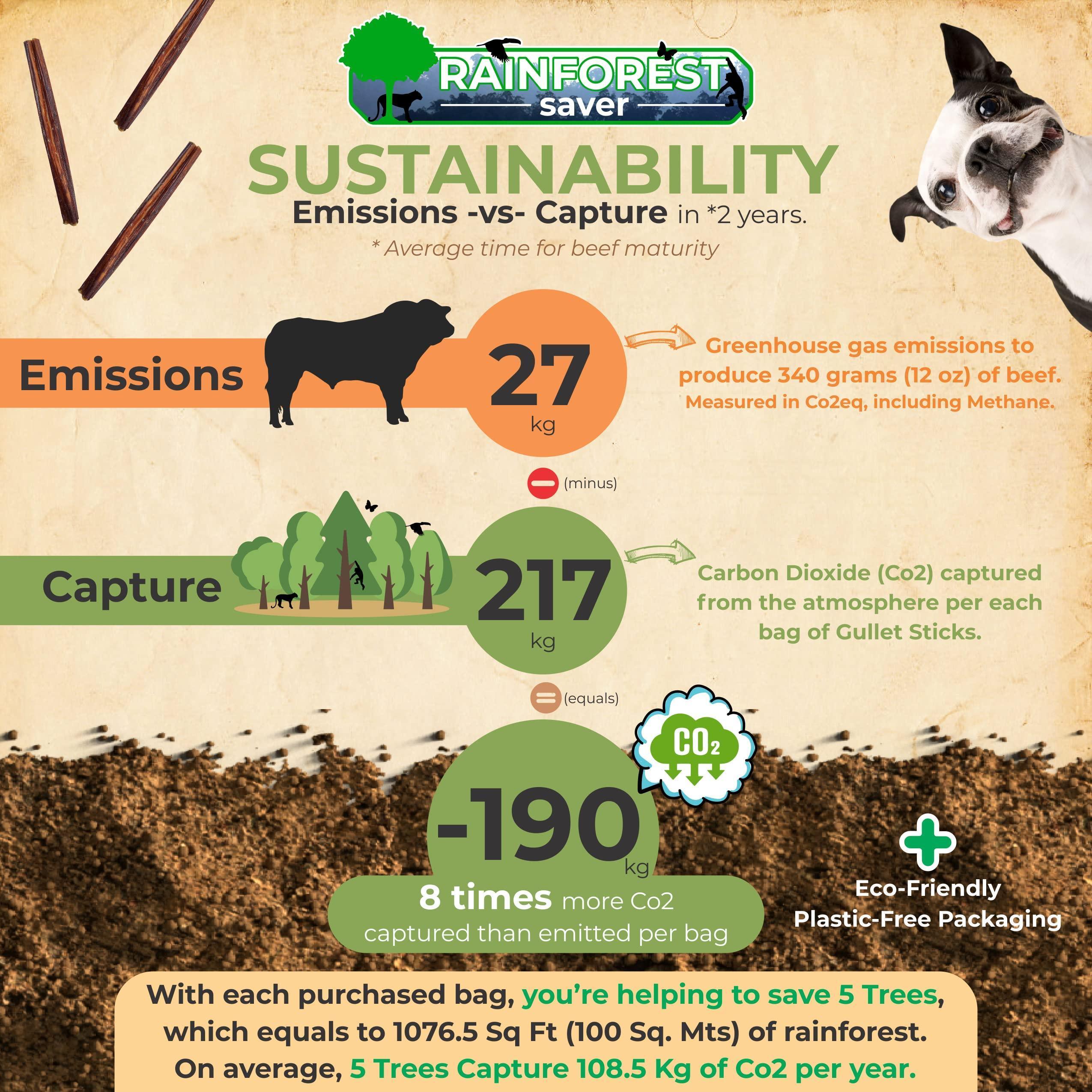 Gullet Sticks 100% Natural Beef Esophagus Dog Chews 6” Premium Dog Treats for