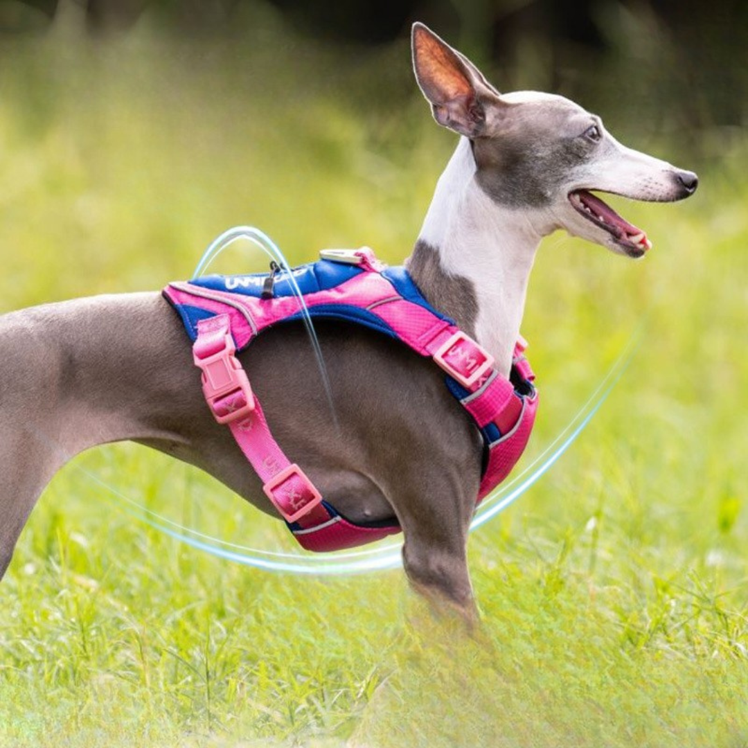 Dopamine 3D Dog Harness with Pocket - ri-son