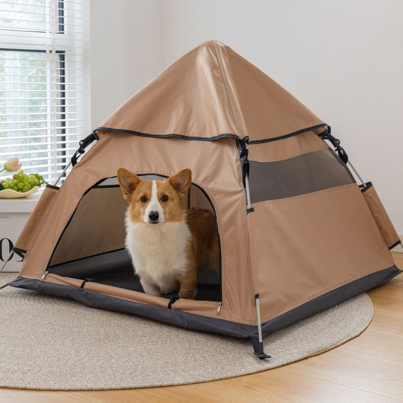 Pet Adventure Dome Tent R-HW-ZP-1 - ri-son