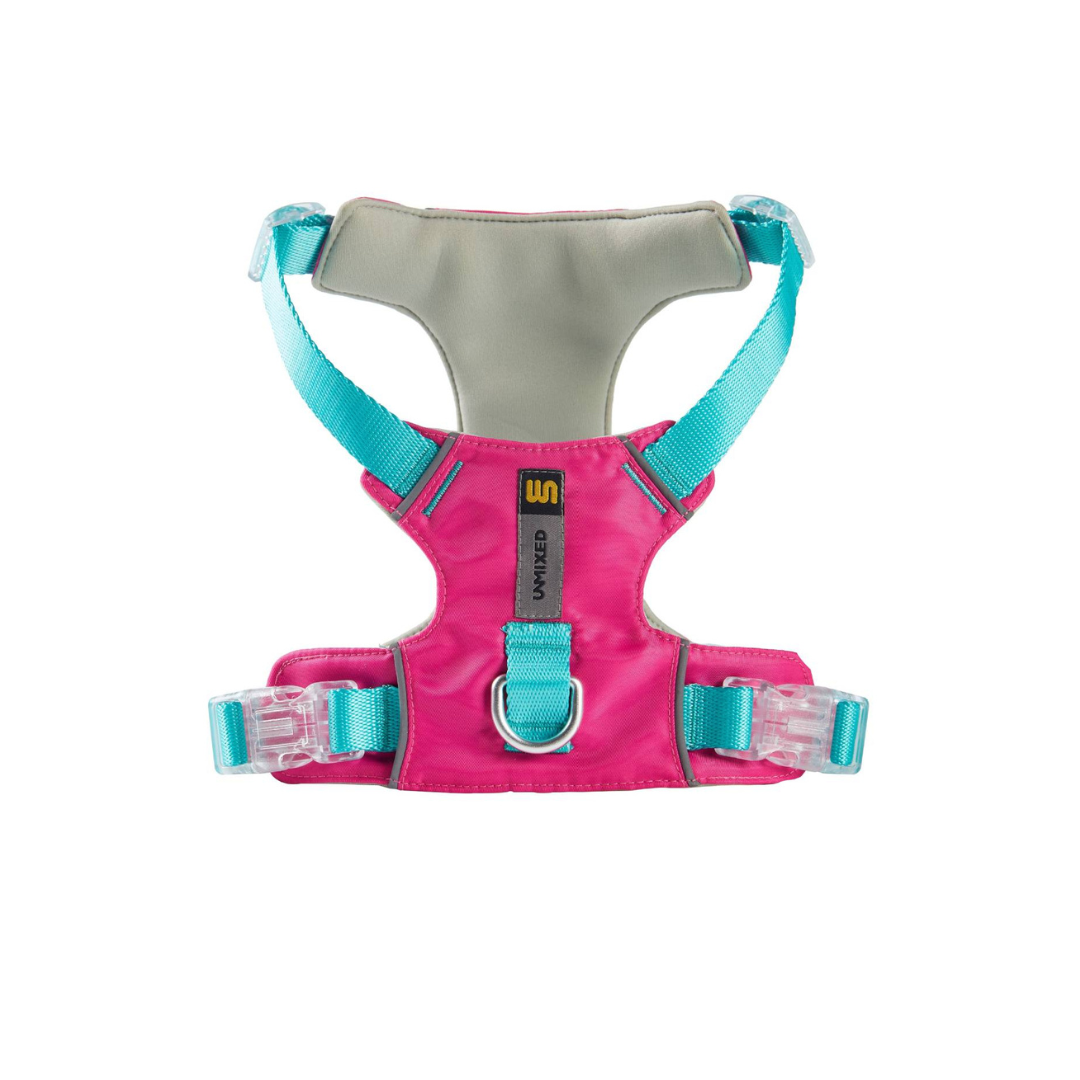 Designer City Color Dog Harness - ri-son