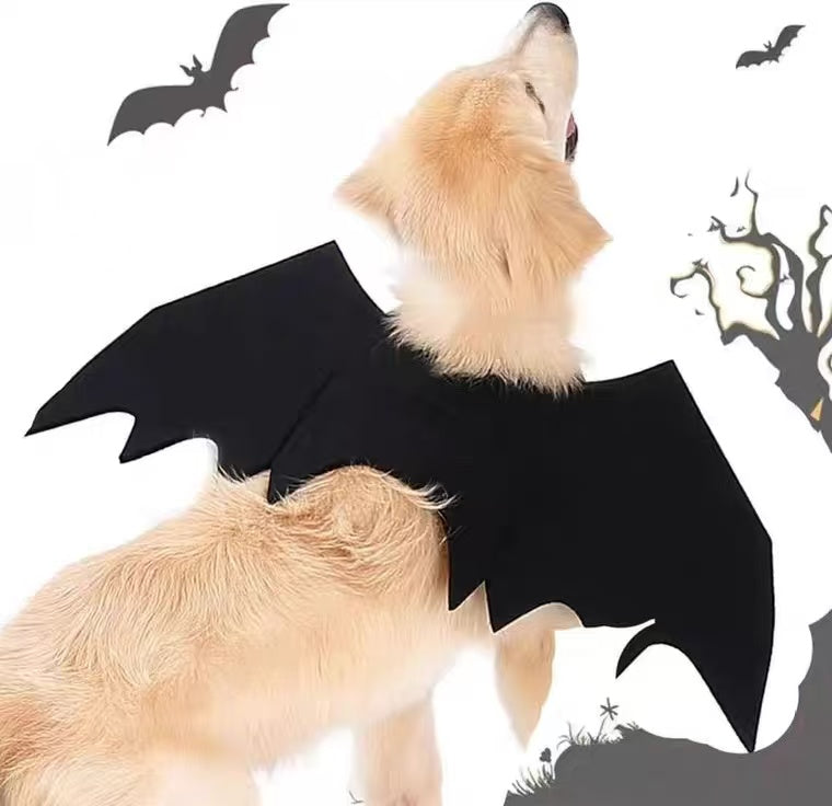 Batman Dog Halloween Costume